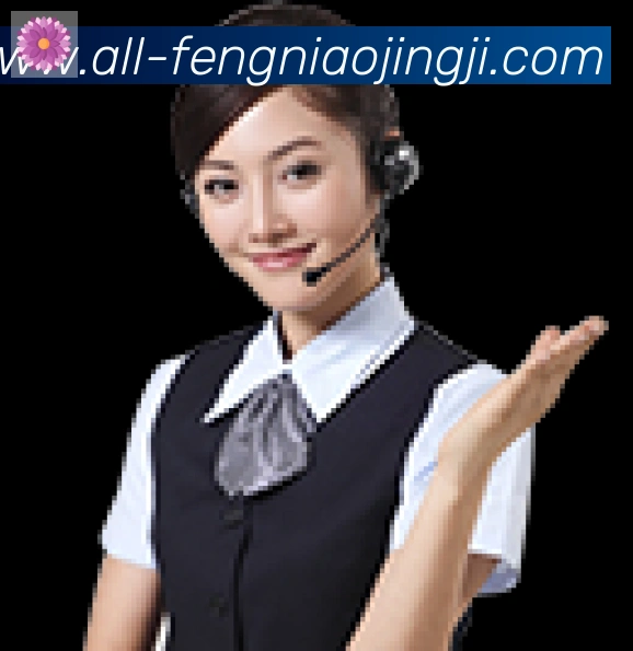 蜂鸟竞技品牌故事